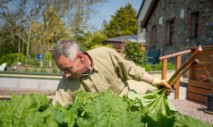 Our Professional Gardens Hard at Work