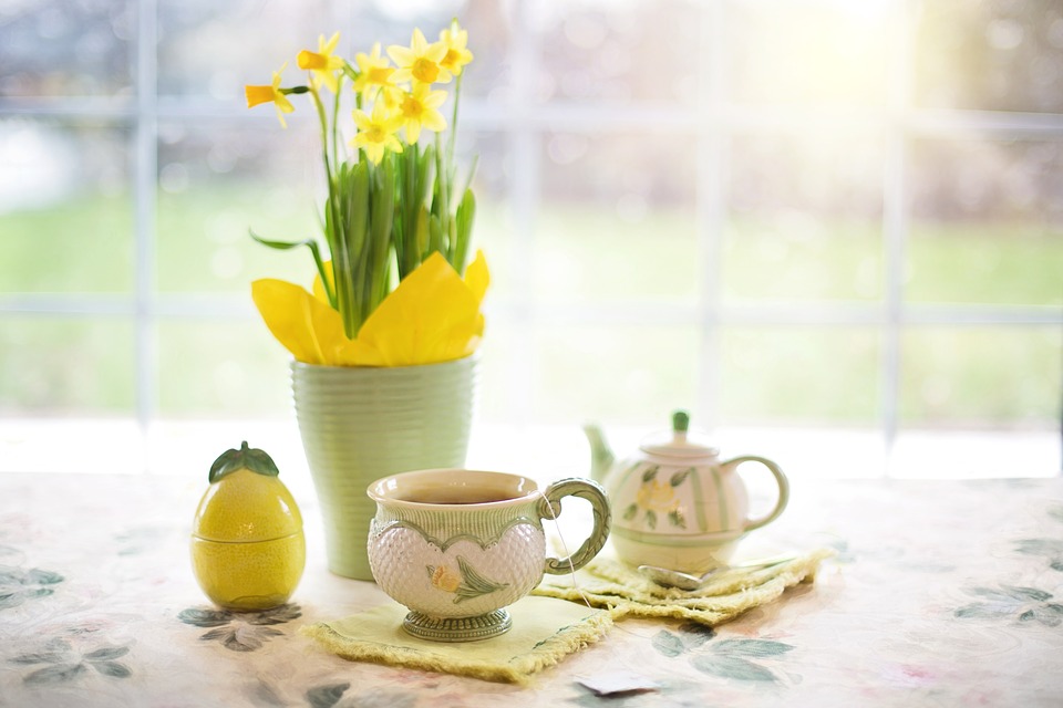 daffodils