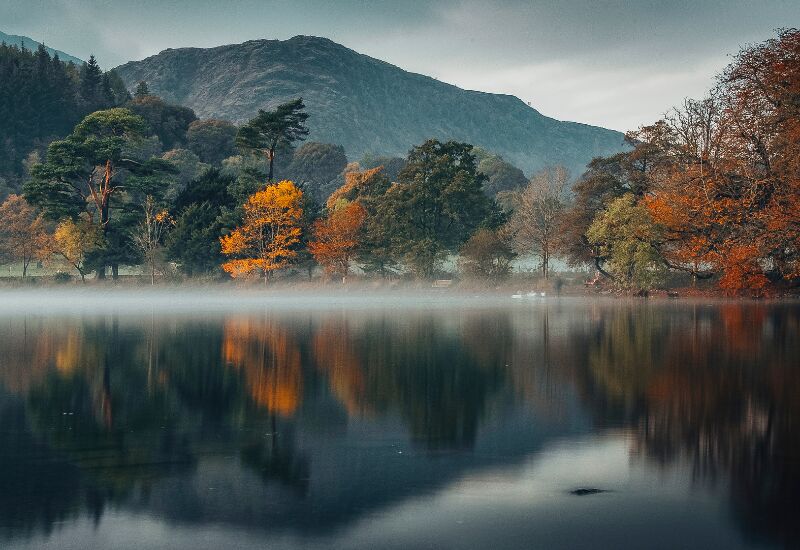 autumn trees by a lake